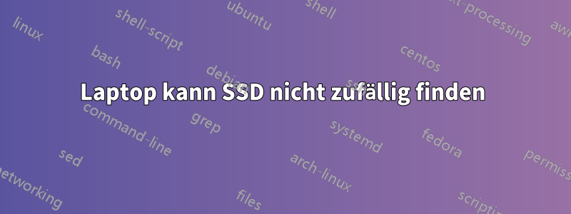 Laptop kann SSD nicht zufällig finden