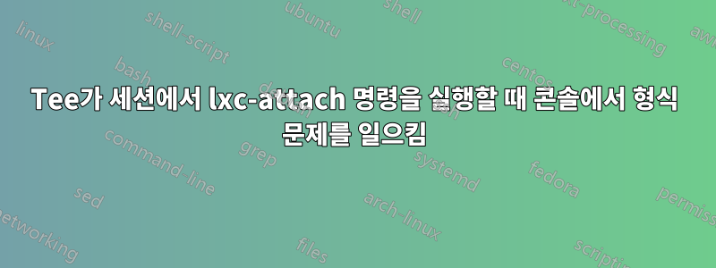 Tee가 세션에서 lxc-attach 명령을 실행할 때 콘솔에서 형식 문제를 일으킴