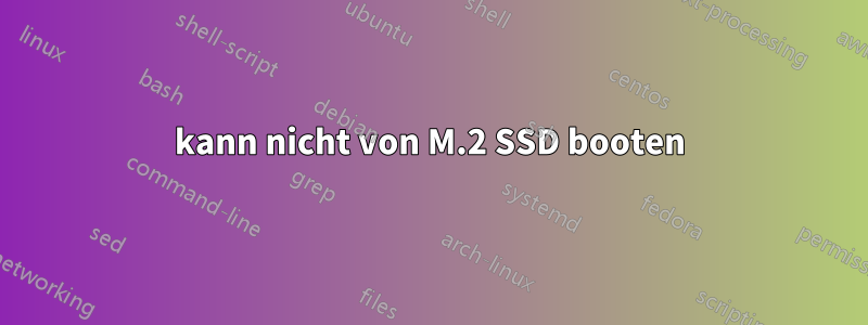 kann nicht von M.2 SSD booten