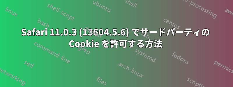 Safari 11.0.3 (13604.5.6) でサードパーティの Cookie を許可する方法