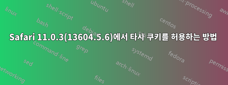 Safari 11.0.3(13604.5.6)에서 타사 쿠키를 허용하는 방법