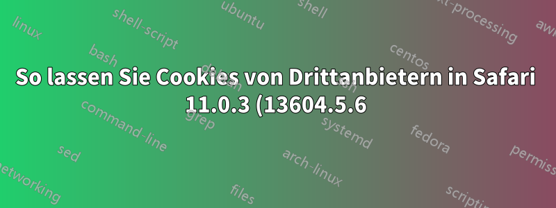 So lassen Sie Cookies von Drittanbietern in Safari 11.0.3 (13604.5.6) zu