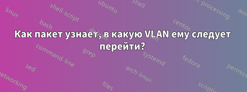 Как пакет узнает, в какую VLAN ему следует перейти?