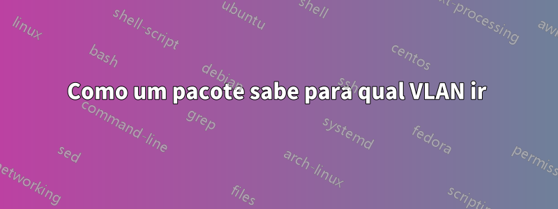 Como um pacote sabe para qual VLAN ir