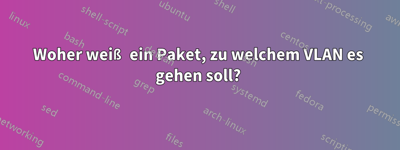 Woher weiß ein Paket, zu welchem ​​VLAN es gehen soll?