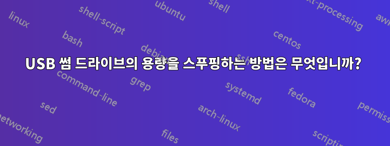 USB 썸 드라이브의 용량을 스푸핑하는 방법은 무엇입니까?