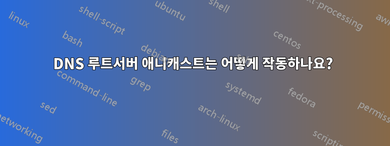 DNS 루트서버 애니캐스트는 어떻게 작동하나요?