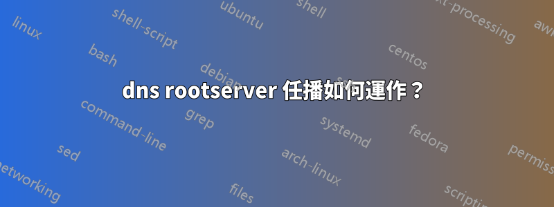 dns rootserver 任播如何運作？