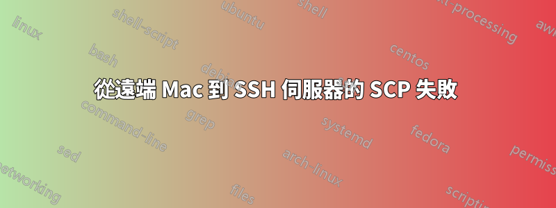 從遠端 Mac 到 SSH 伺服器的 SCP 失敗