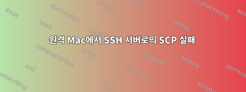 원격 Mac에서 SSH 서버로의 SCP 실패