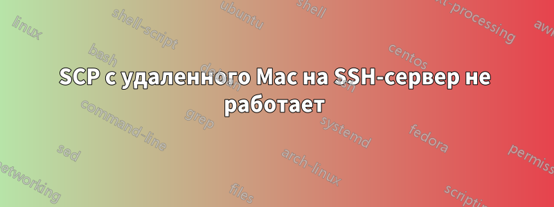 SCP с удаленного Mac на SSH-сервер не работает