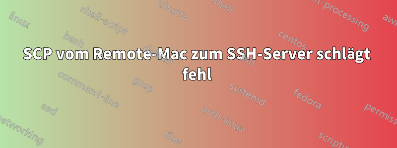 SCP vom Remote-Mac zum SSH-Server schlägt fehl