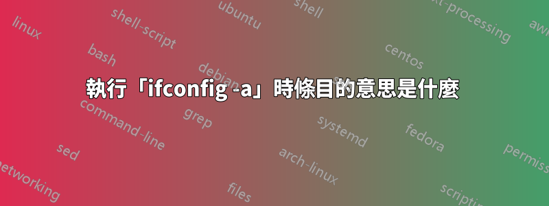 執行「ifconfig -a」時條目的意思是什麼