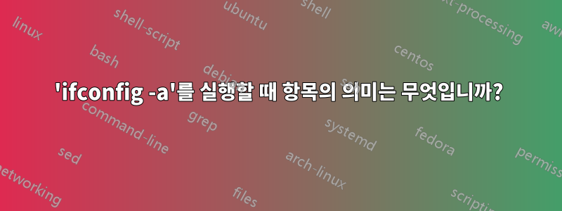 'ifconfig -a'를 실행할 때 항목의 의미는 무엇입니까?