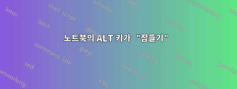 노트북의 ALT 키가 "잠들기"