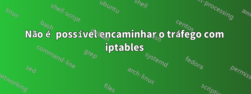 Não é possível encaminhar o tráfego com iptables