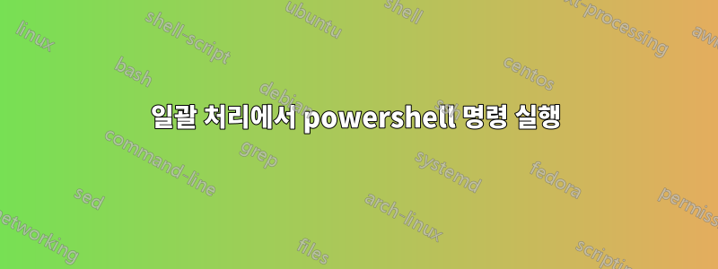 일괄 처리에서 powershell 명령 실행