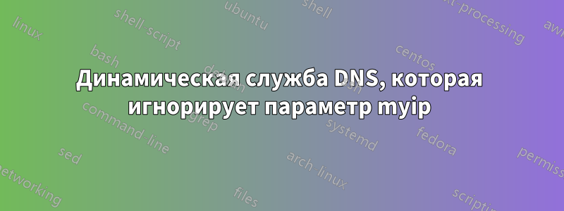 Динамическая служба DNS, которая игнорирует параметр myip