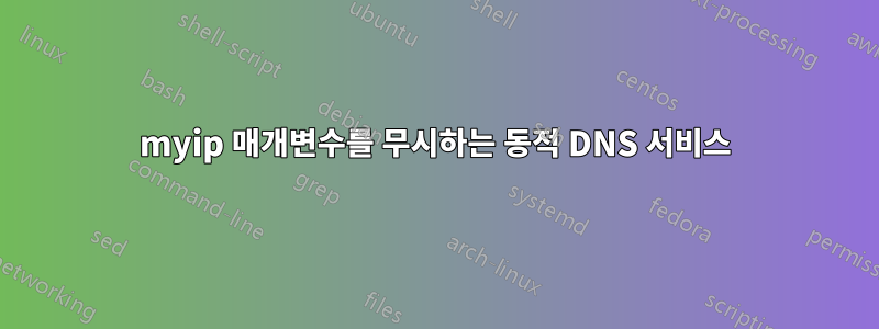 myip 매개변수를 무시하는 동적 DNS 서비스