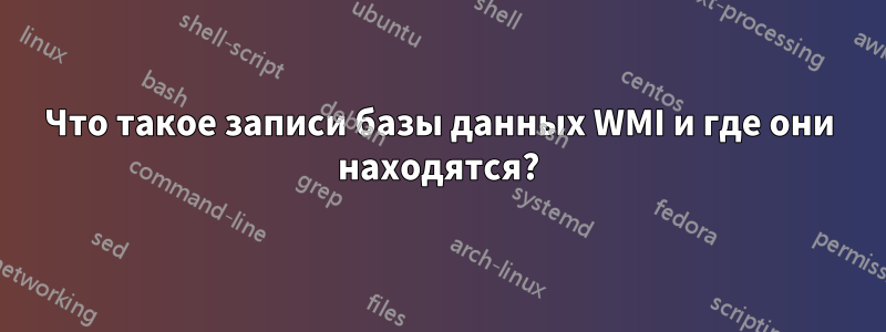 Что такое записи базы данных WMI и где они находятся?