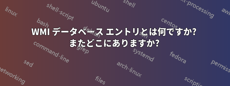 WMI データベース エントリとは何ですか? またどこにありますか?