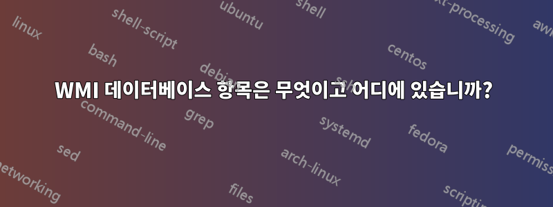 WMI 데이터베이스 항목은 무엇이고 어디에 있습니까?