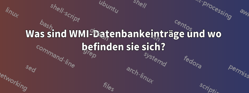 Was sind WMI-Datenbankeinträge und wo befinden sie sich?