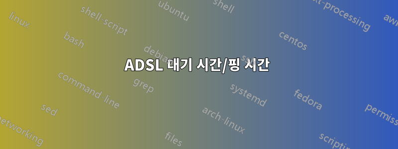 ADSL 대기 시간/핑 시간