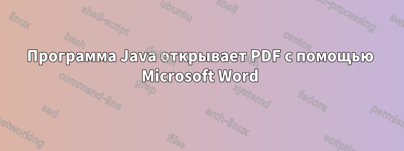 Программа Java открывает PDF с помощью Microsoft Word