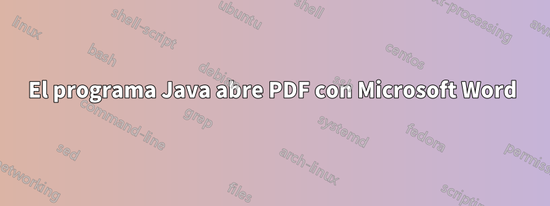 El programa Java abre PDF con Microsoft Word