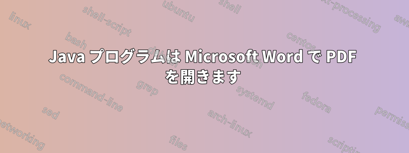 Java プログラムは Microsoft Word で PDF を開きます