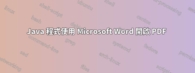 Java 程式使用 Microsoft Word 開啟 PDF