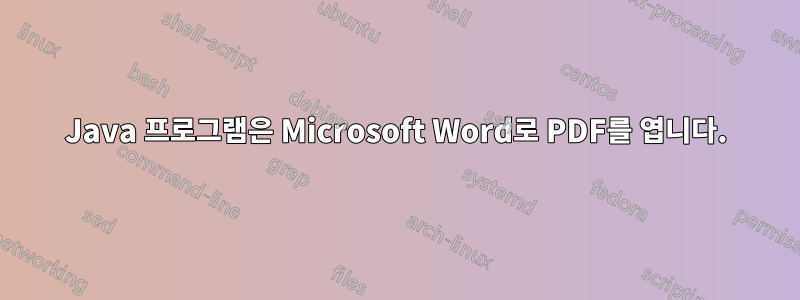 Java 프로그램은 Microsoft Word로 PDF를 엽니다.