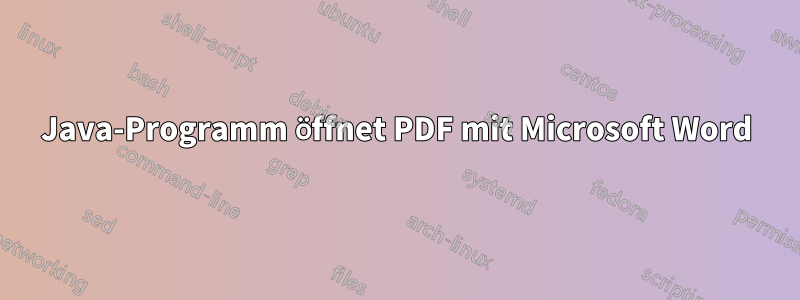 Java-Programm öffnet PDF mit Microsoft Word