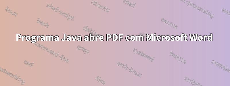 Programa Java abre PDF com Microsoft Word