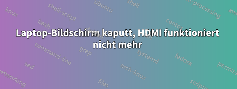 Laptop-Bildschirm kaputt, HDMI funktioniert nicht mehr