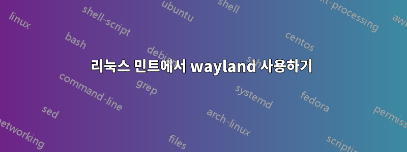 리눅스 민트에서 wayland 사용하기