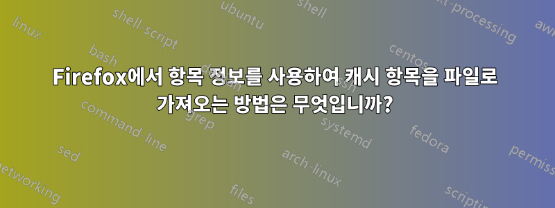 Firefox에서 항목 정보를 사용하여 캐시 항목을 파일로 가져오는 방법은 무엇입니까?