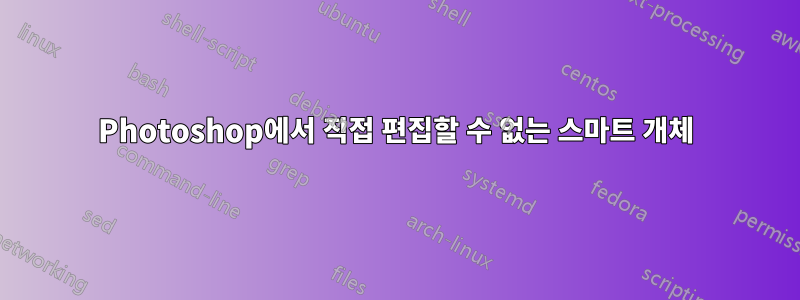 Photoshop에서 직접 편집할 수 없는 스마트 개체