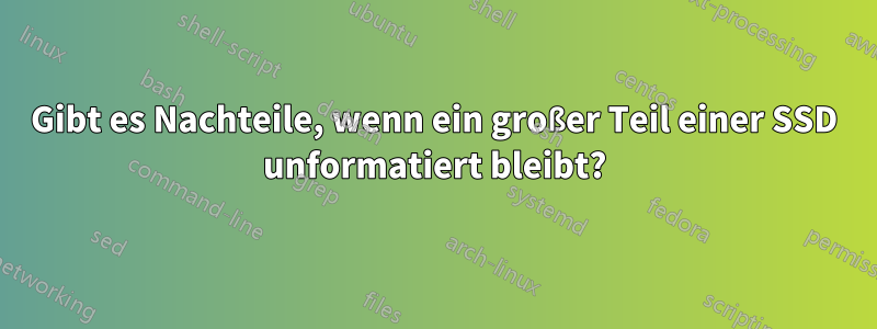 Gibt es Nachteile, wenn ein großer Teil einer SSD unformatiert bleibt?