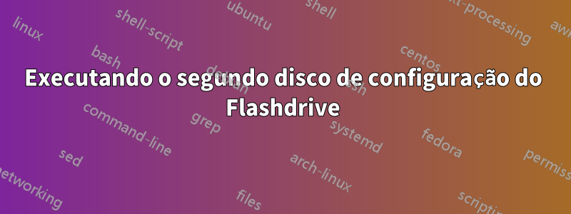 Executando o segundo disco de configuração do Flashdrive