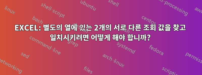 EXCEL: 별도의 열에 있는 2개의 서로 다른 조회 값을 찾고 일치시키려면 어떻게 해야 합니까?