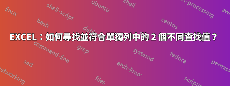 EXCEL：如何尋找並符合單獨列中的 2 個不同查找值？