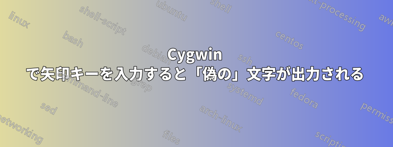 Cygwin で矢印キーを入力すると「偽の」文字が出力される