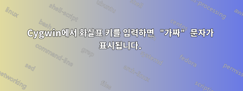 Cygwin에서 화살표 키를 입력하면 "가짜" 문자가 표시됩니다.