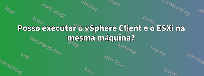 Posso executar o vSphere Client e o ESXi na mesma máquina?