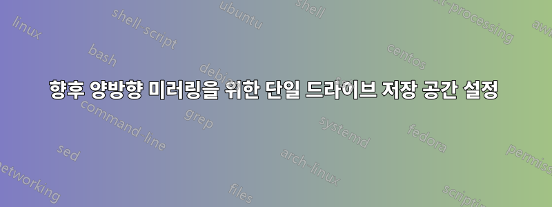 향후 양방향 미러링을 위한 단일 드라이브 저장 공간 설정