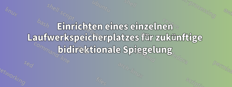 Einrichten eines einzelnen Laufwerkspeicherplatzes für zukünftige bidirektionale Spiegelung