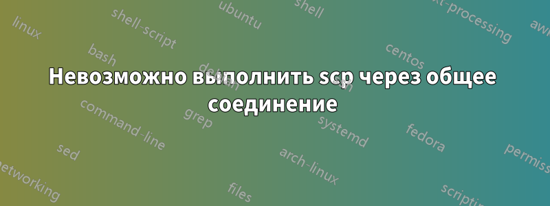 Невозможно выполнить scp через общее соединение