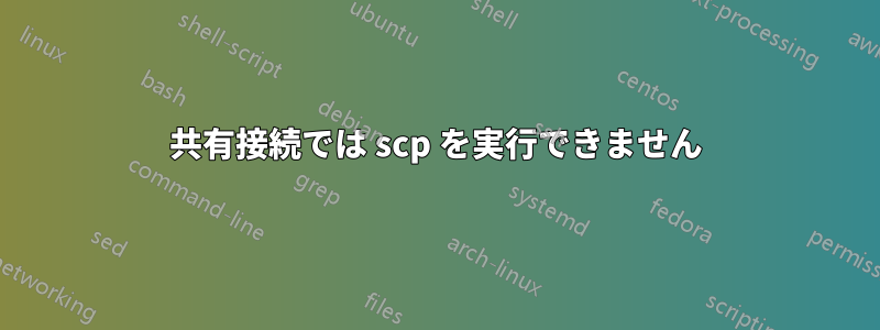 共有接続では scp を実行できません
